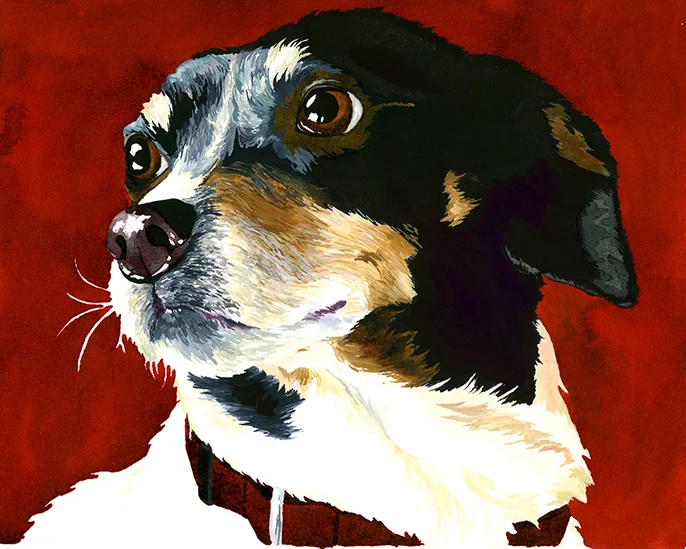 Maddie by Maria Oglesby.jpeg