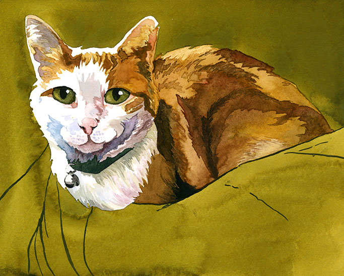 pennicat by Maria Oglesby.jpeg