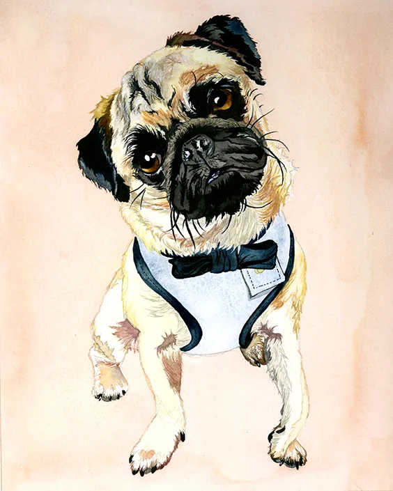 pug by Maria Oglesby.jpeg