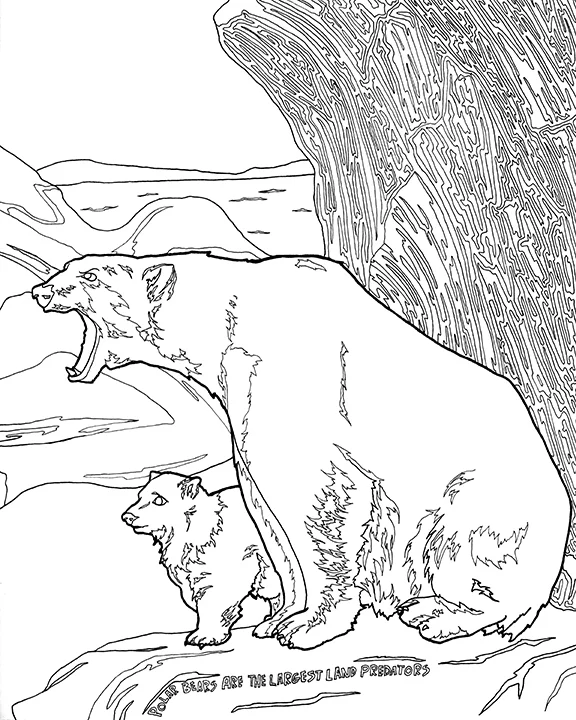 Polar Bear by Maria Oglesby.jpeg