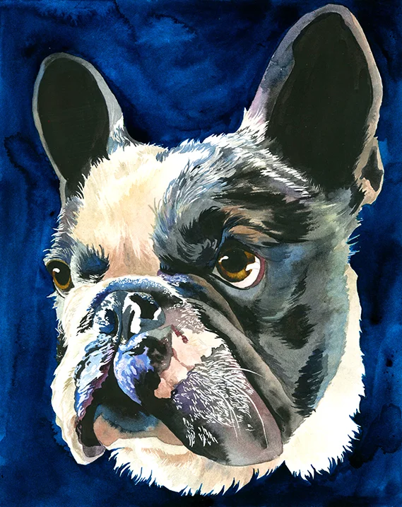 Maria Oglesby Smol Dog watercolor.jpeg