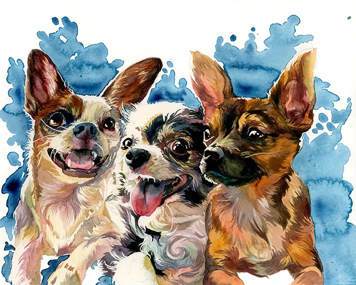 3 pups by maria oglesby.jpg