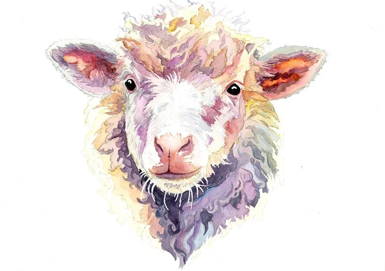 sheep painting by Maria Oglesby.jpg