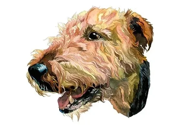 Dog+Painting+by+Maria+Oglesby.jpg.webp