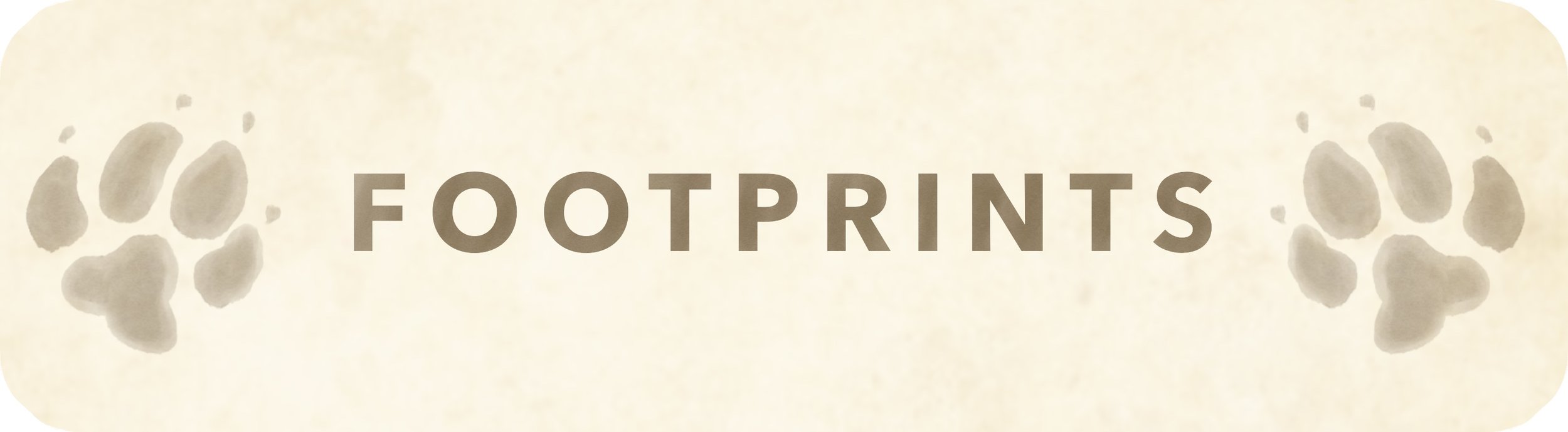 Footprints_Header.jpg