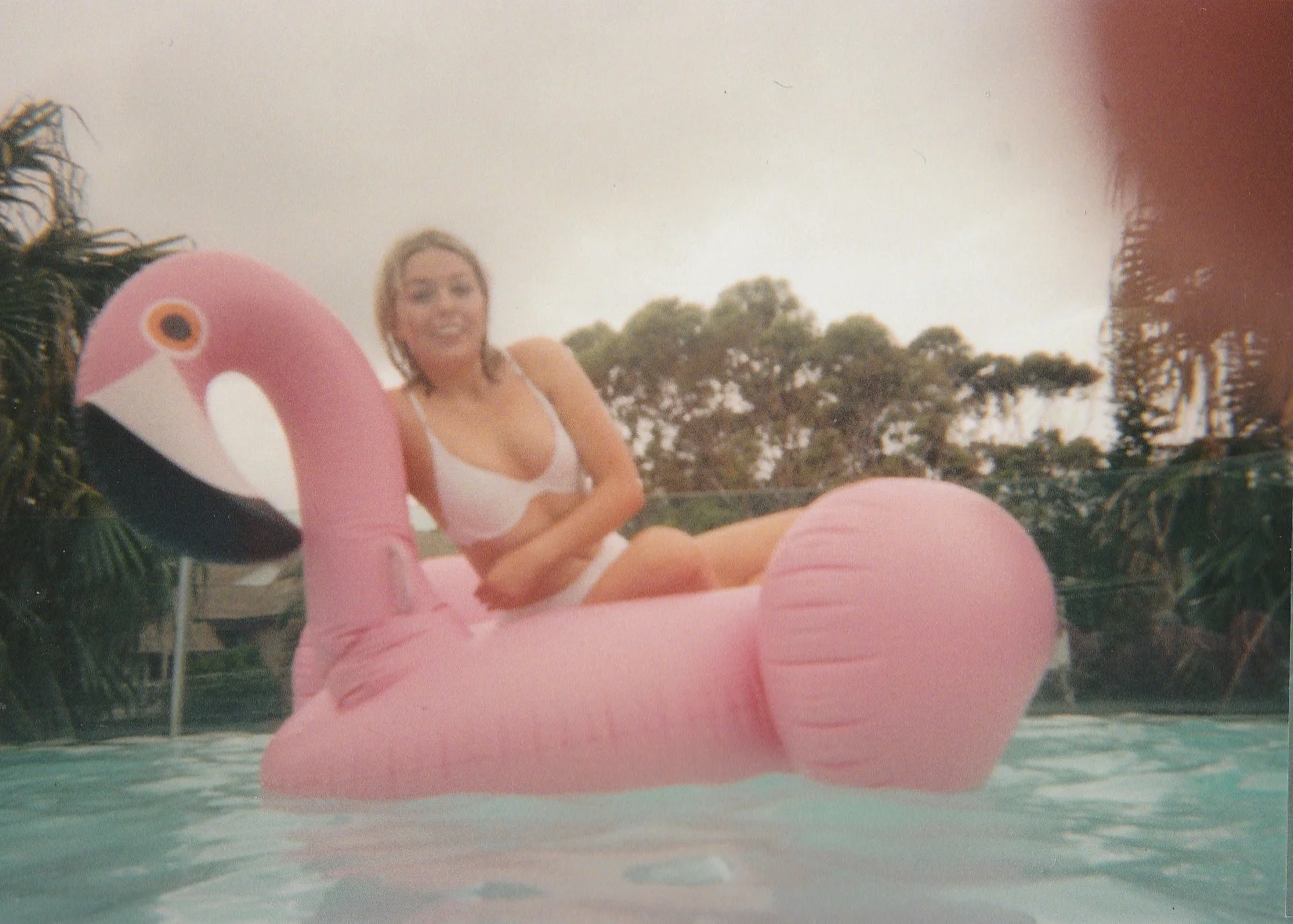 A failed flamingo shot... Bannisters Pavillion, Mollymook. December, 2017.