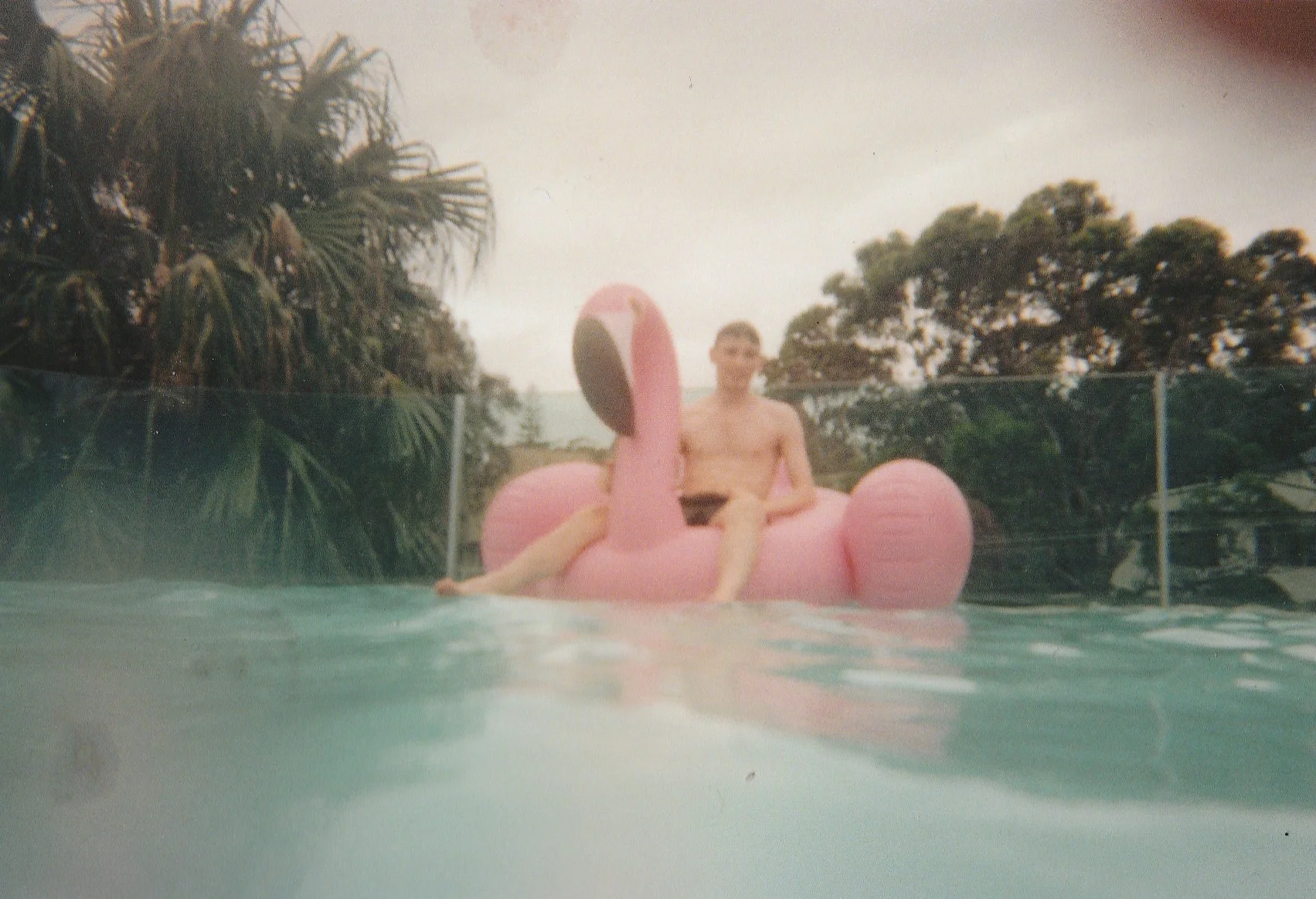 A not so failed flamingo shot. Bannisters Pavillion, Mollymook. December, 2017.