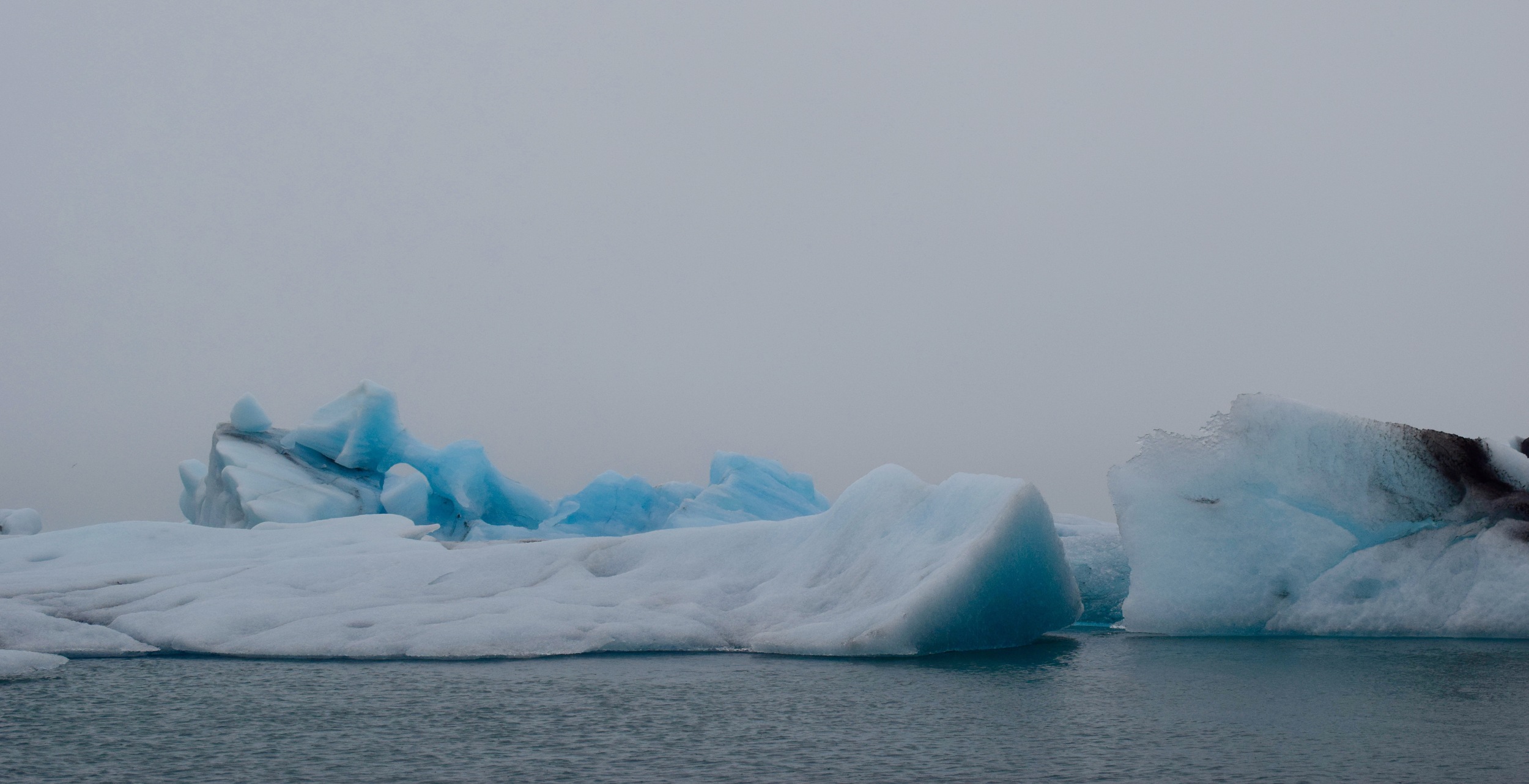 DSC_0783.jpg