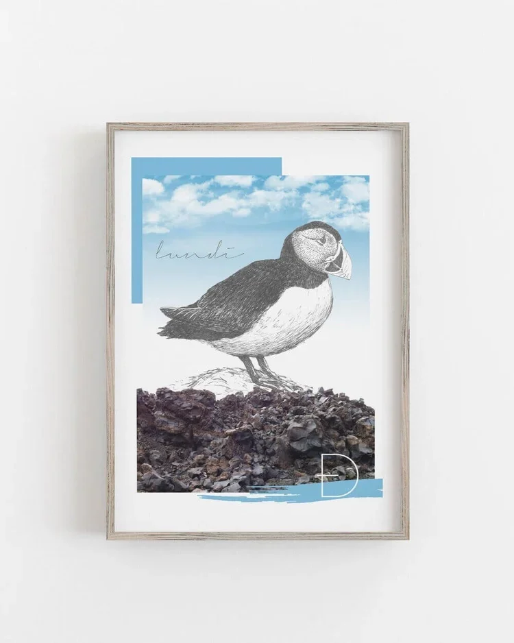 Icelandic puffin art print inspired by Iceland’s landscapes and wildlife. A4 matte print, produced in Iceland. Perfect Nordic gift or Reykjavik souvenir.