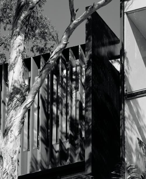 Nyorie Court — Garner Davis Architects