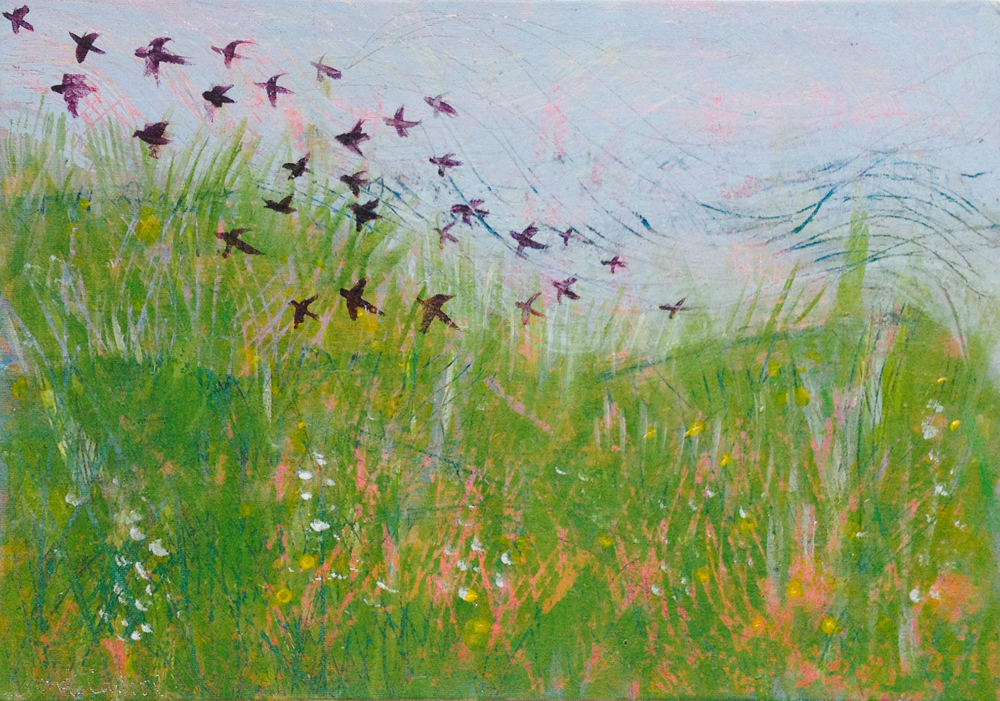 Machair-and-Starlings,-Tiree.jpg