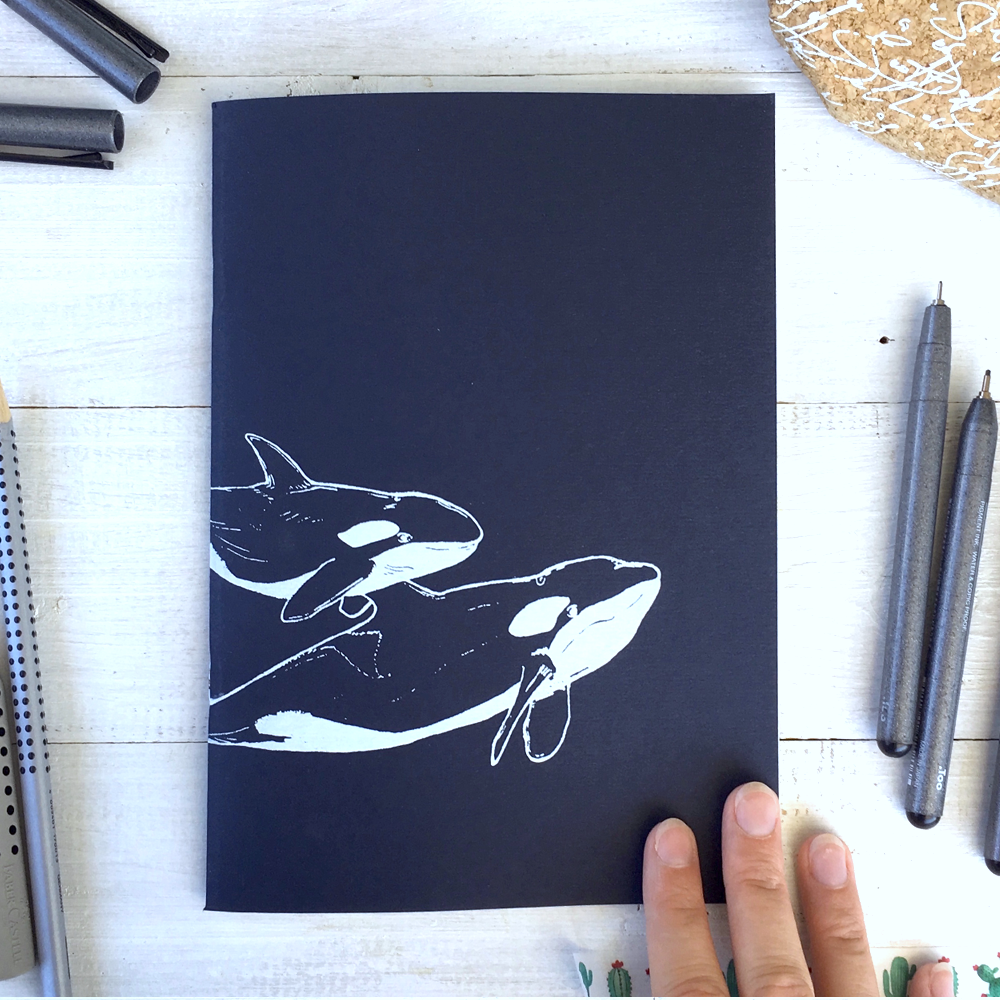 Stift17_2018_NH_Orca.png