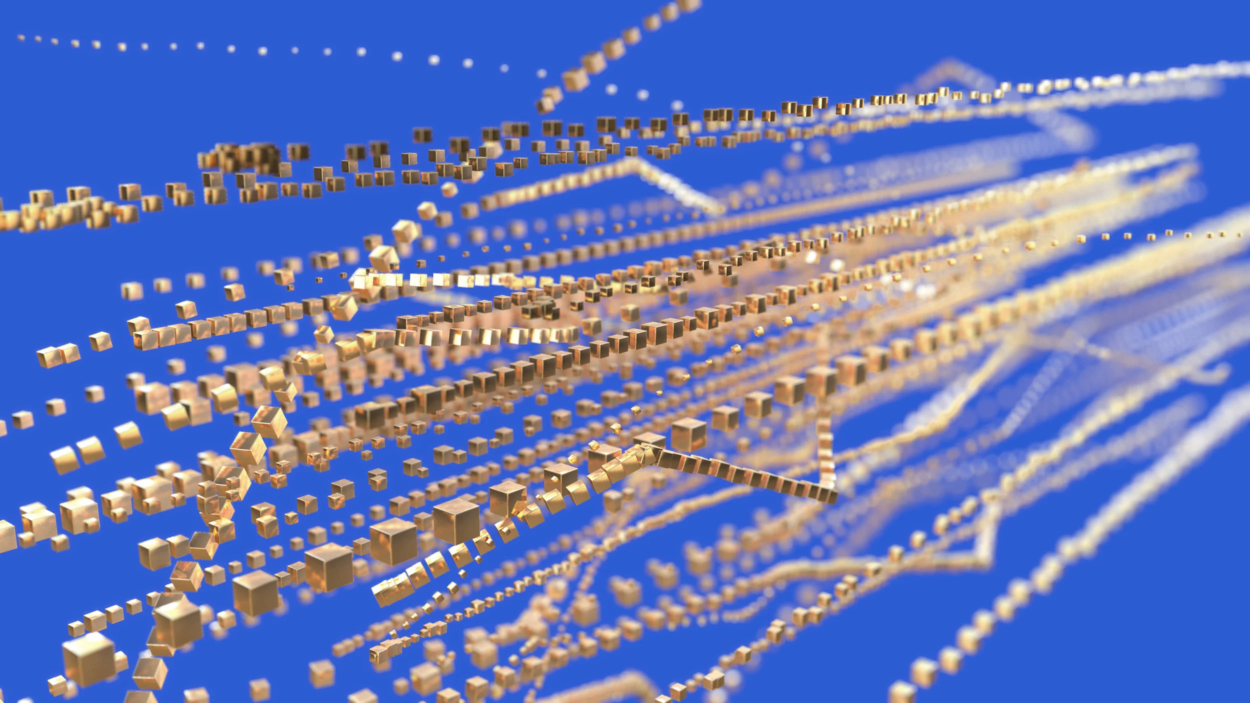Theme 6 Network still 1 -2800.jpg