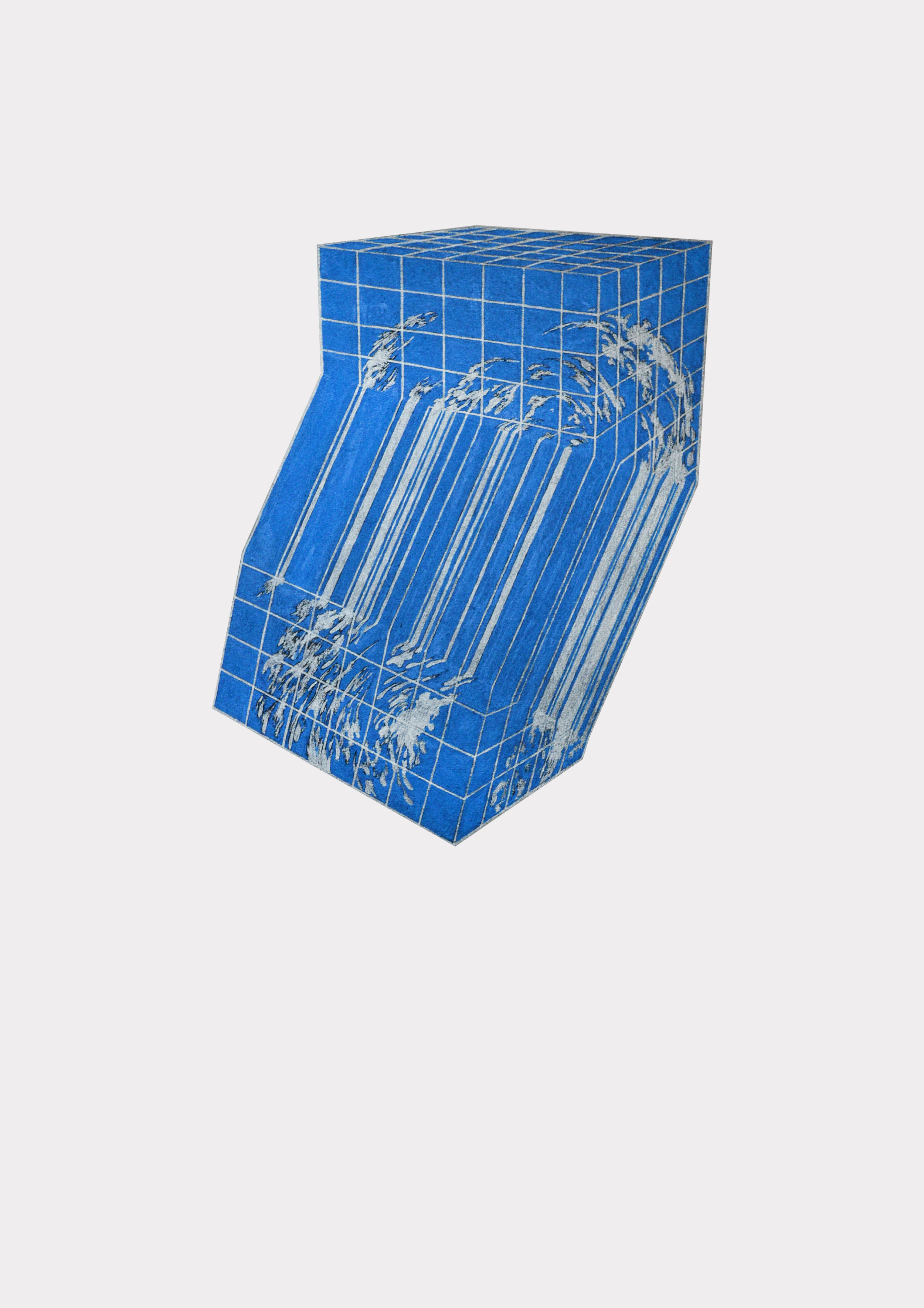 Topographish