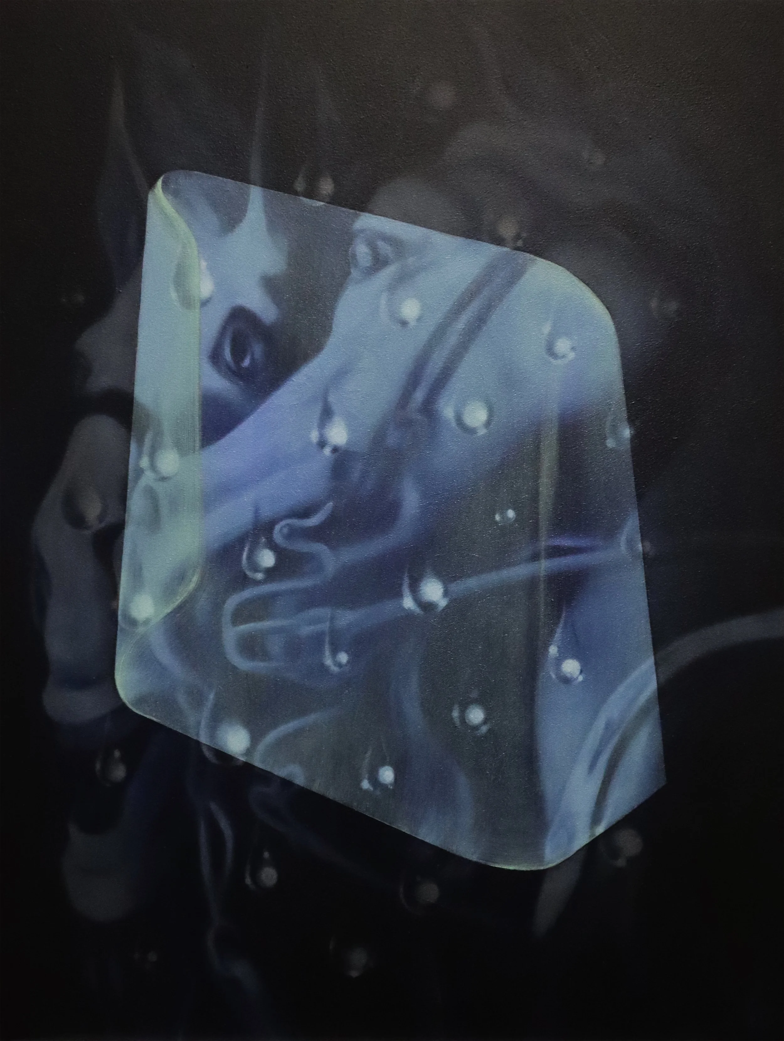 yolt pelt unframed 200.jpg