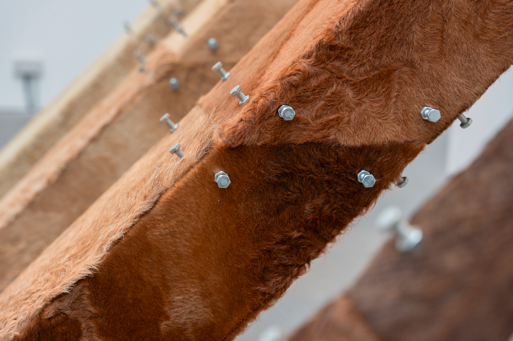 Screen Shot 2025-06-17 at 1.37.16 PM.png