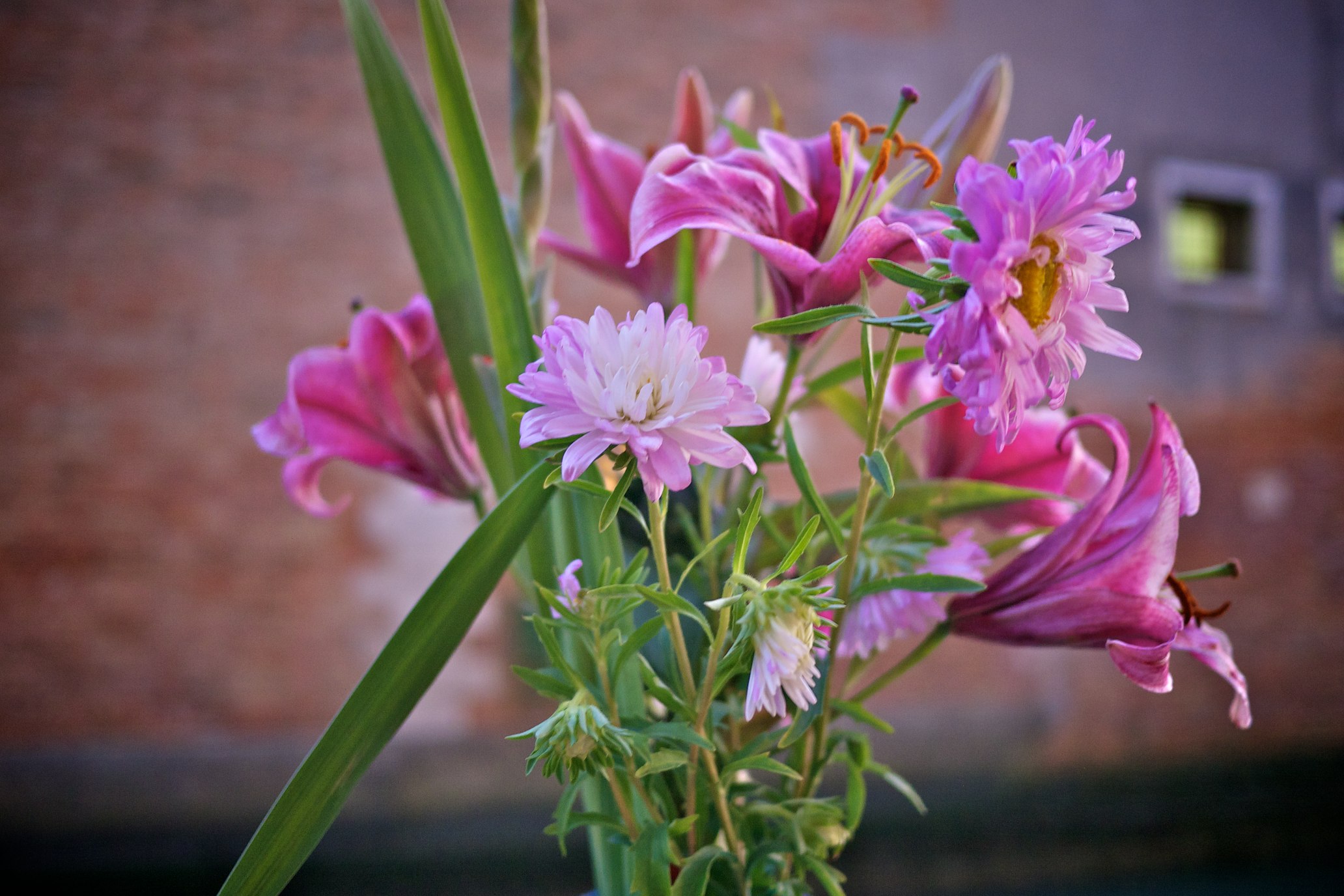 Blumen in Venedig