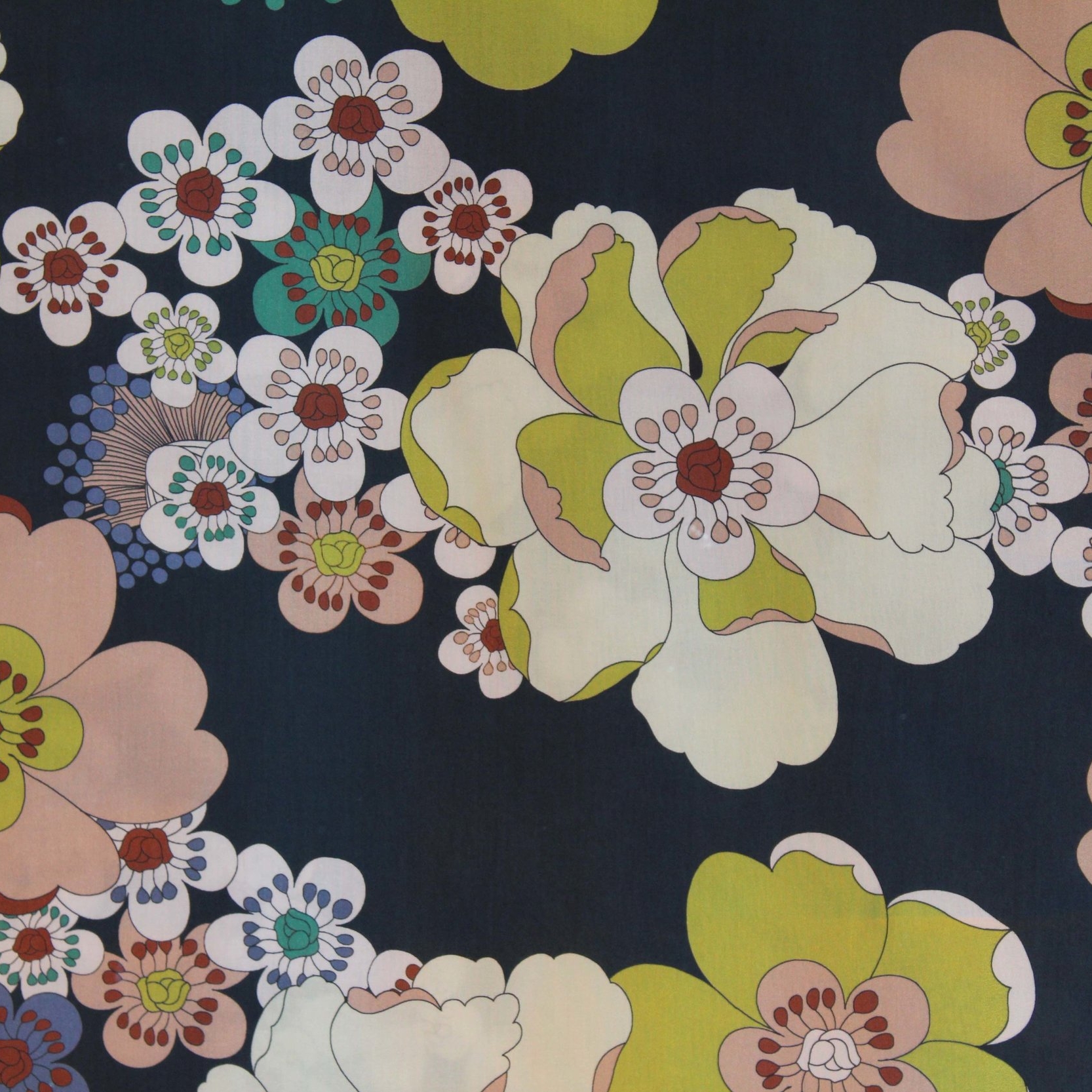 Lady McElroy Reine Fleur Close Up lo res.jpg