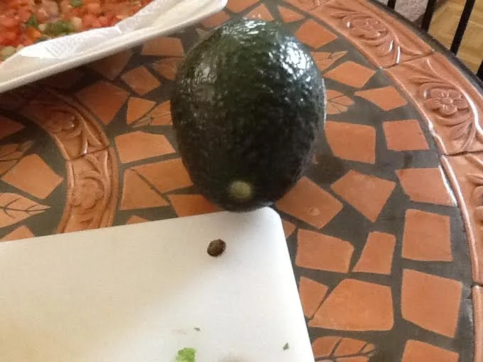 Looks like a little bug or a raisin! 