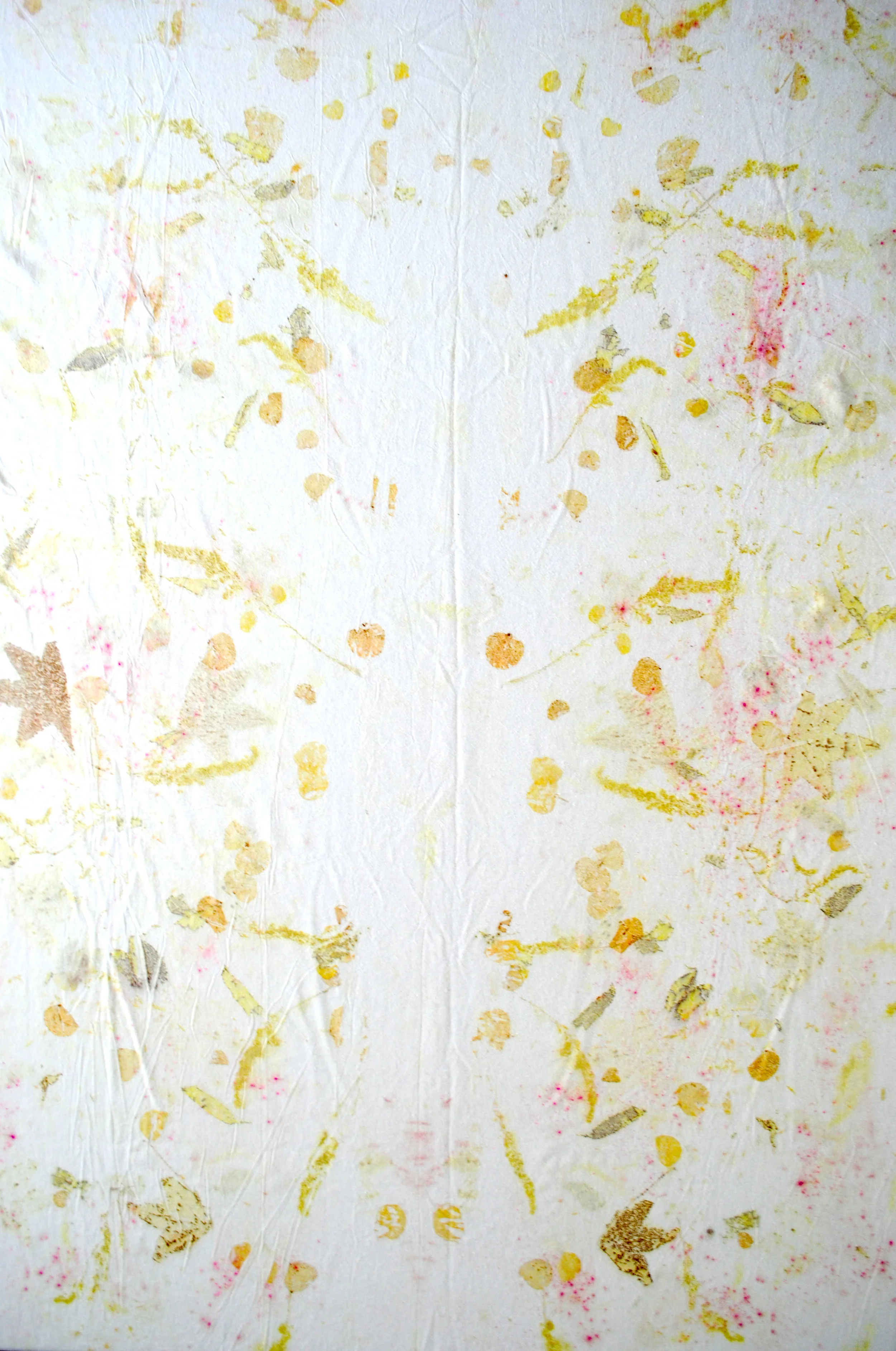 MEADOW CLOTH | raw silk eco-print textile