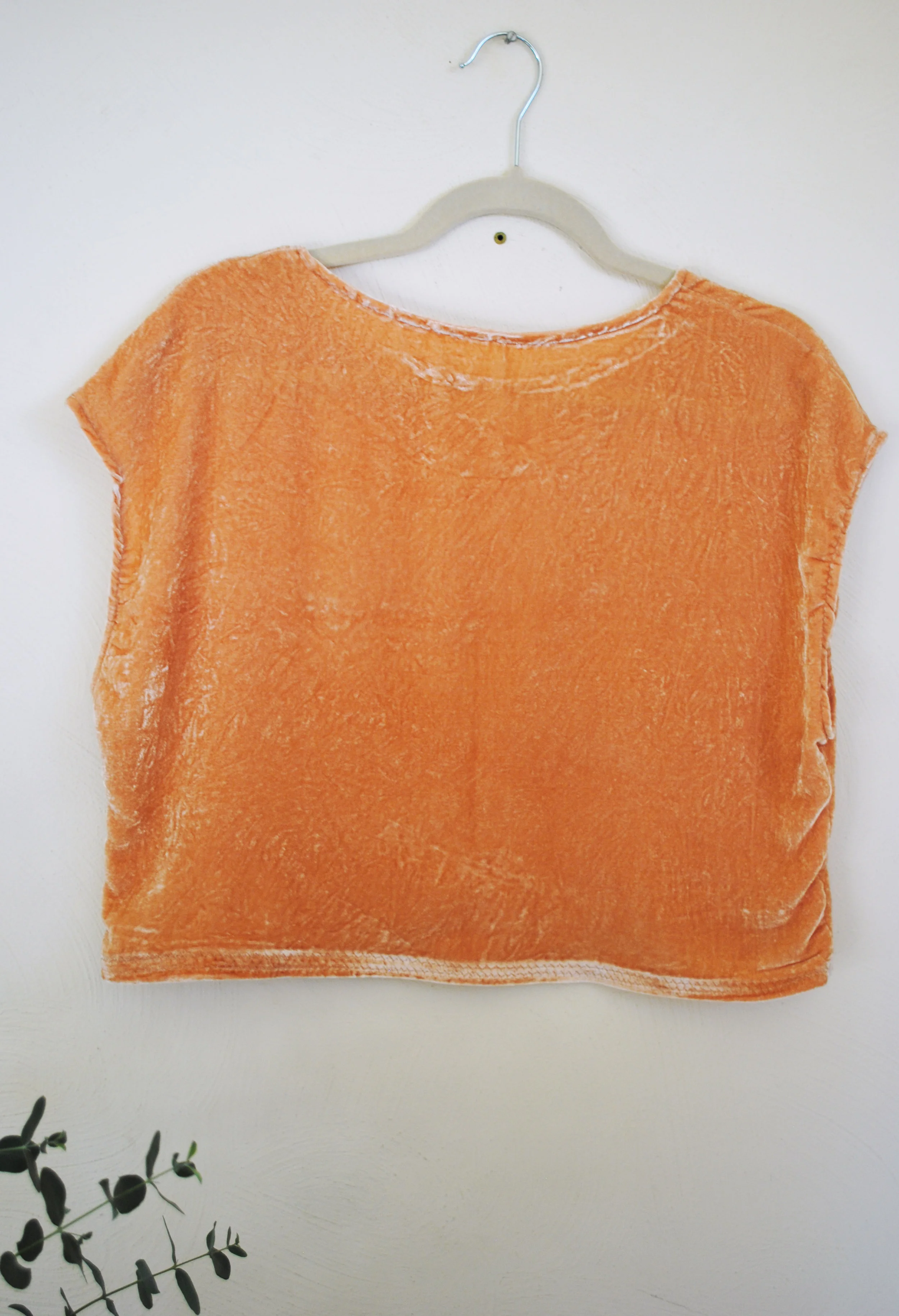 avocado velvet crop5.jpg