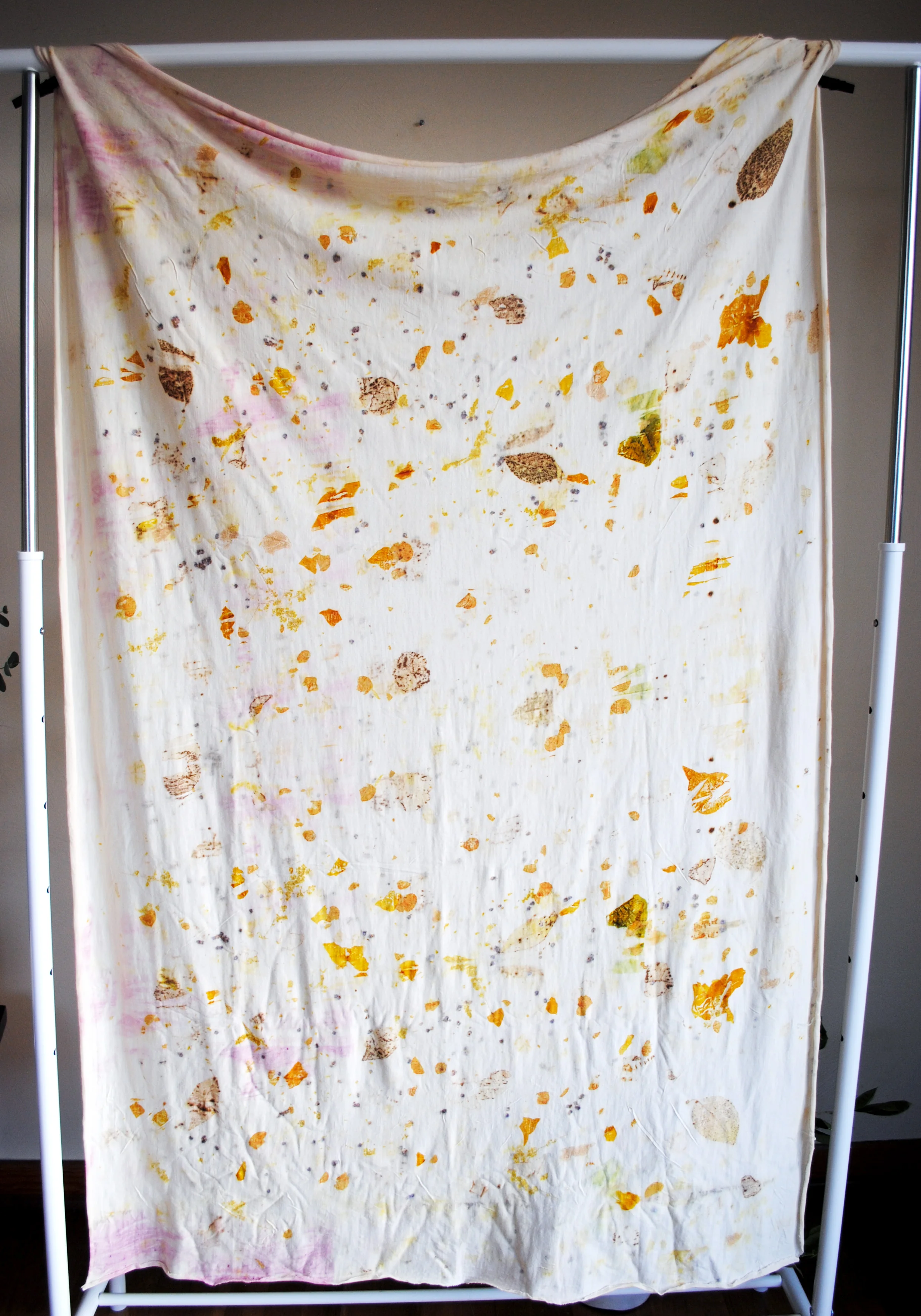 from the meadow merino 1.jpg