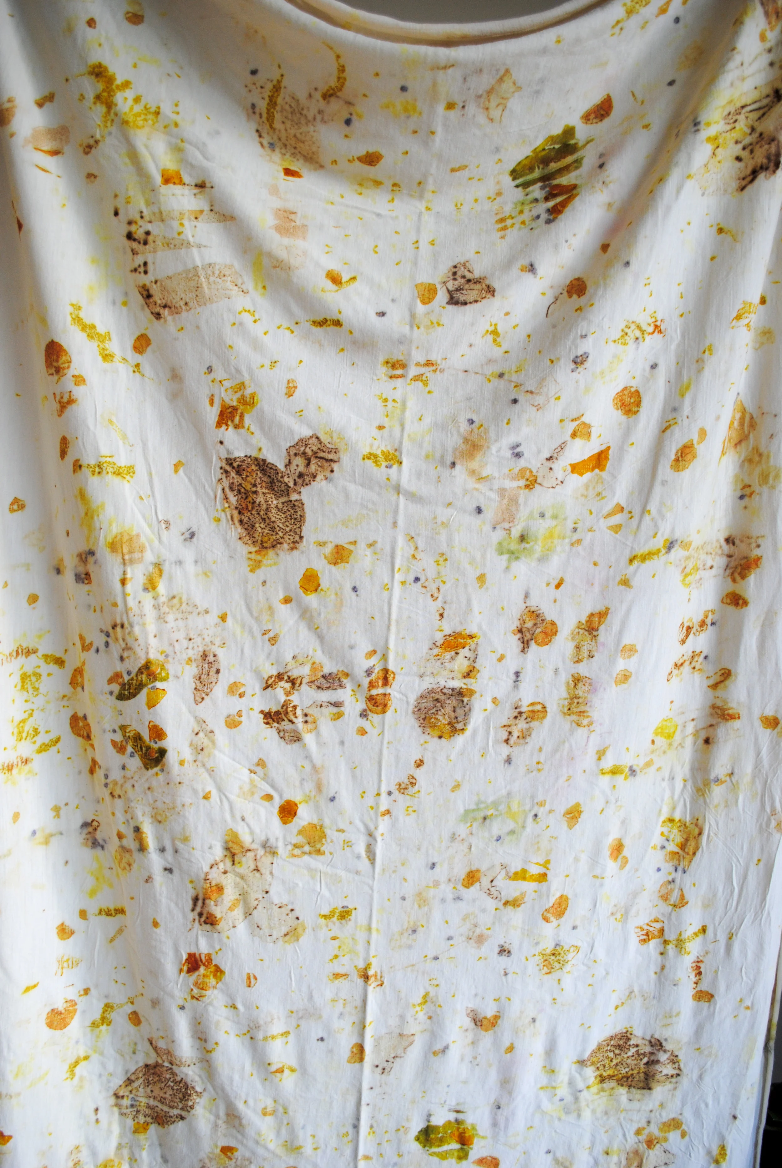 from the meadow merino 01.jpg