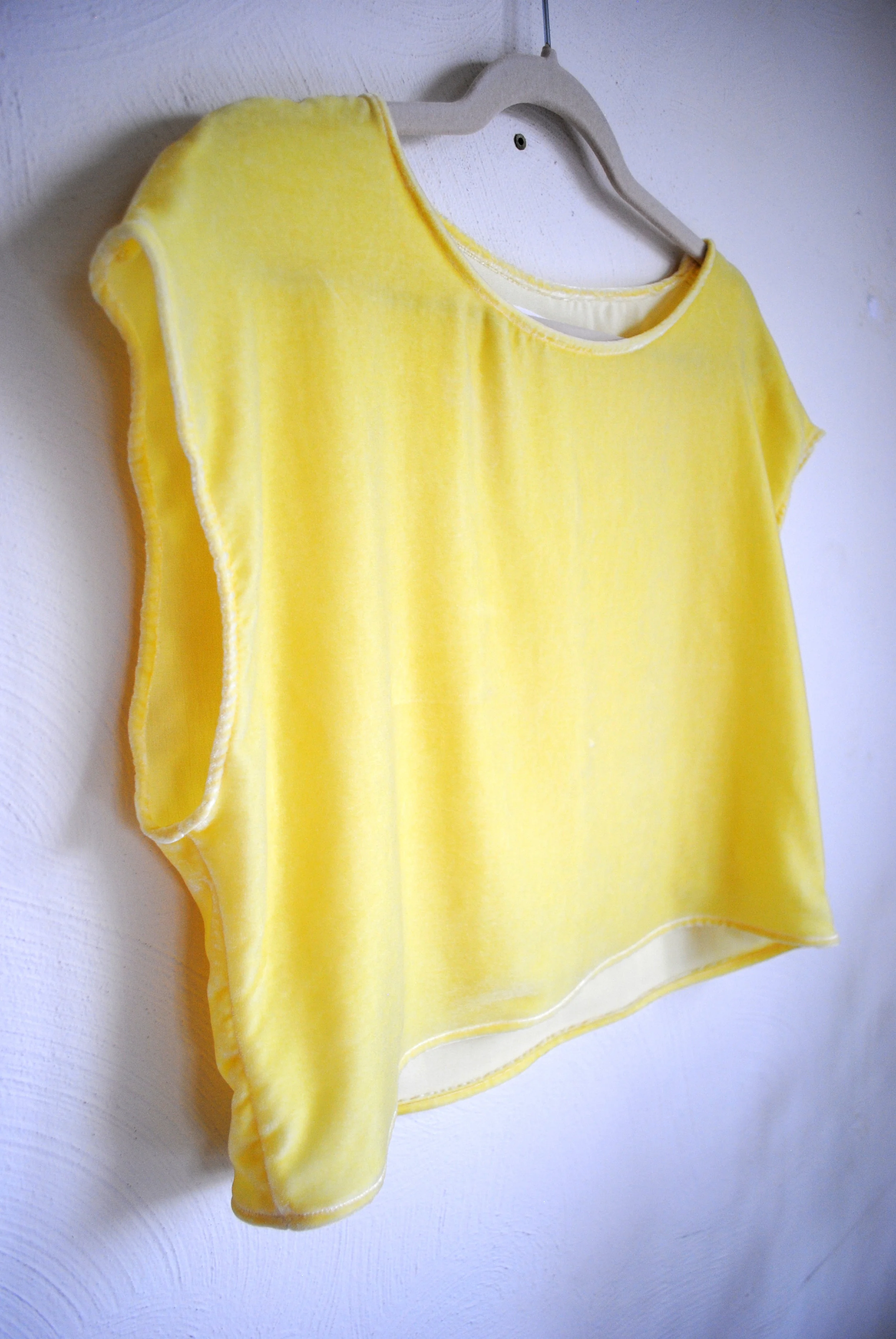 lemon velvet crop2.jpg