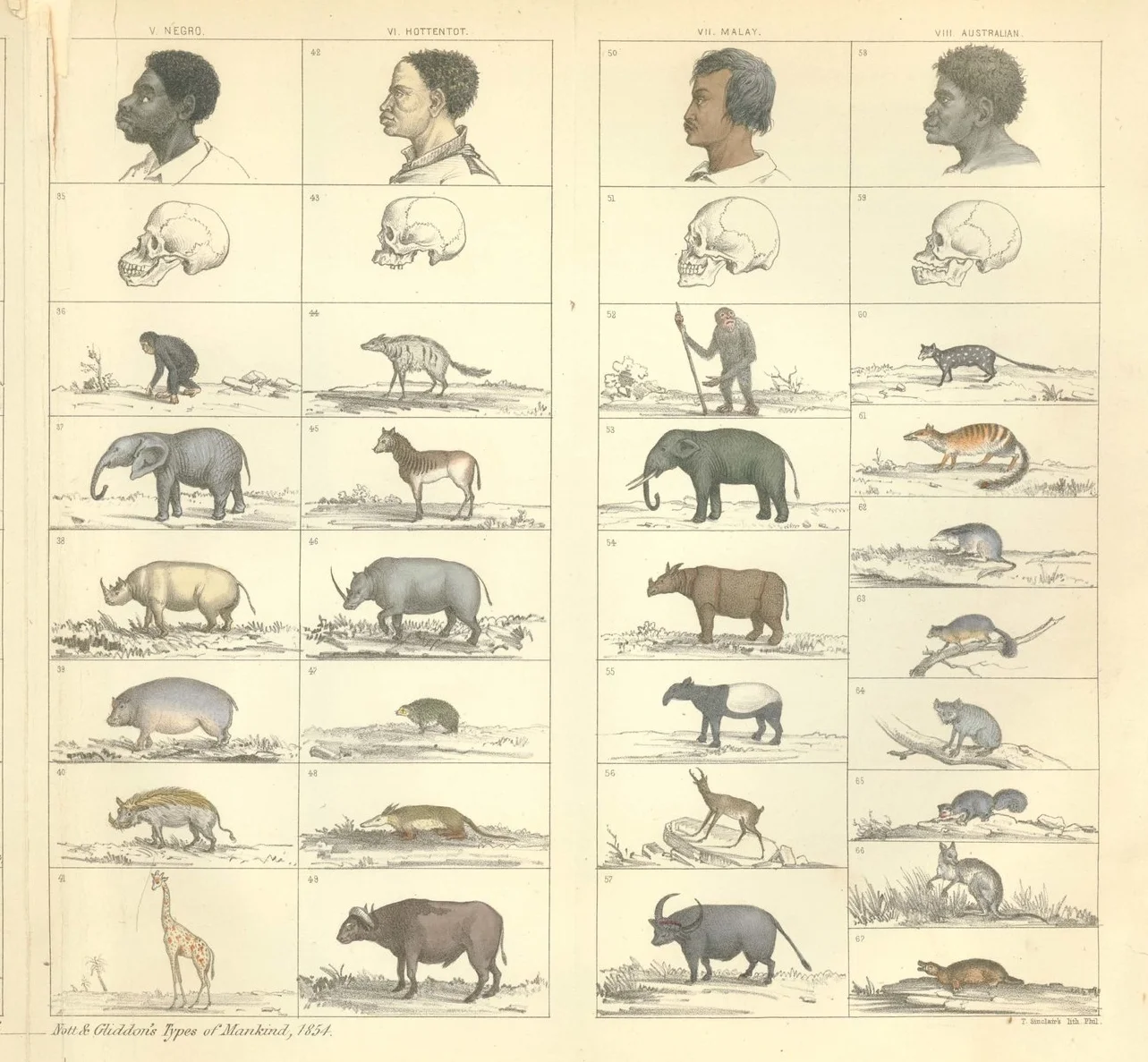 Example of what is known as "scientific racism: Science in defense of American slavery from Types of Mankind, 1854 http://www.wm.edu/as/anthropology/research/ihb/scienceideology/