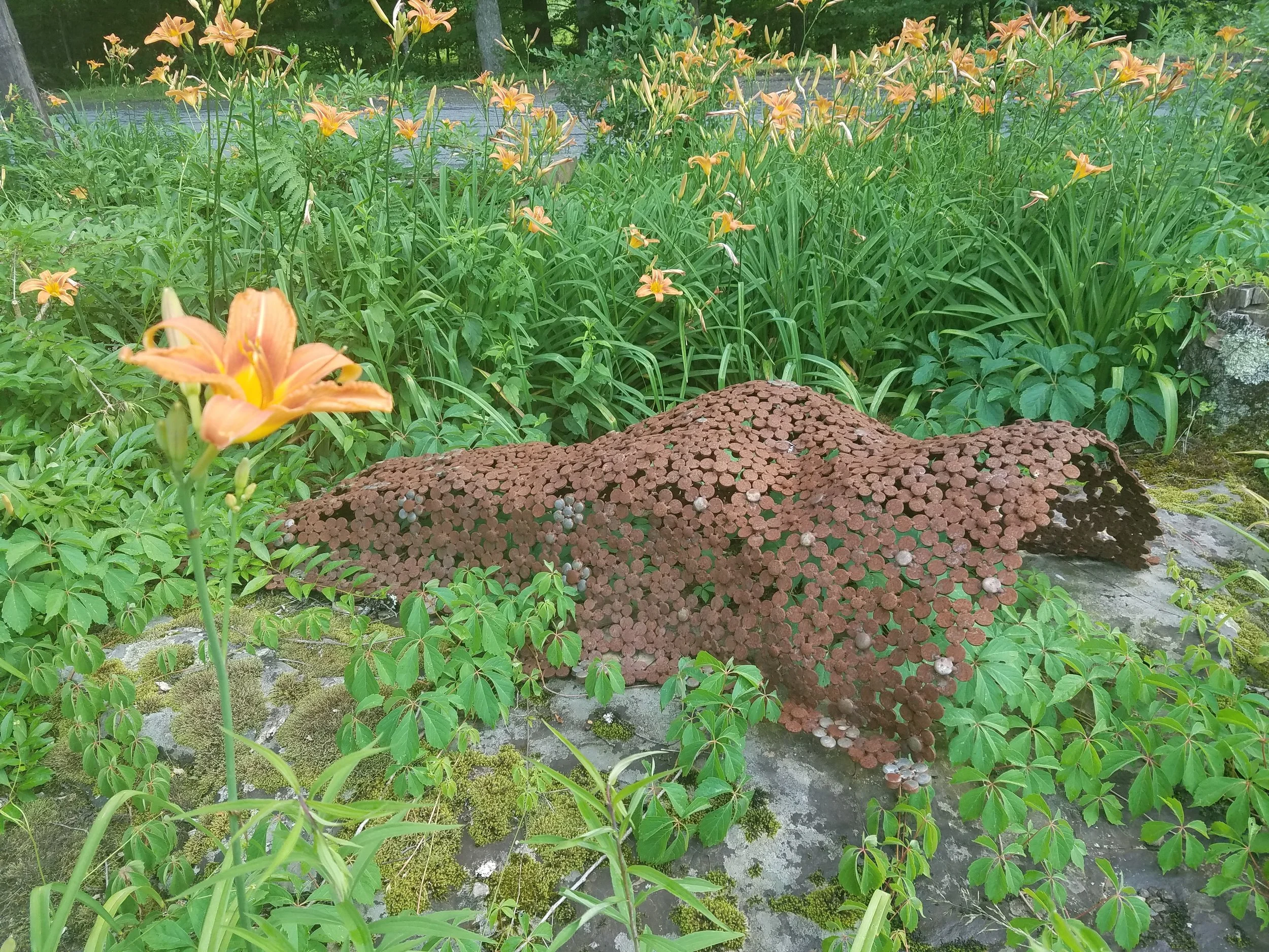 20160701_174538.jpg