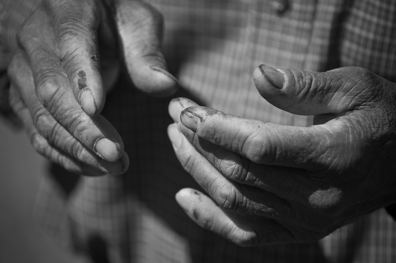   For over 30 years Humberto has worked in the Central Valley.  