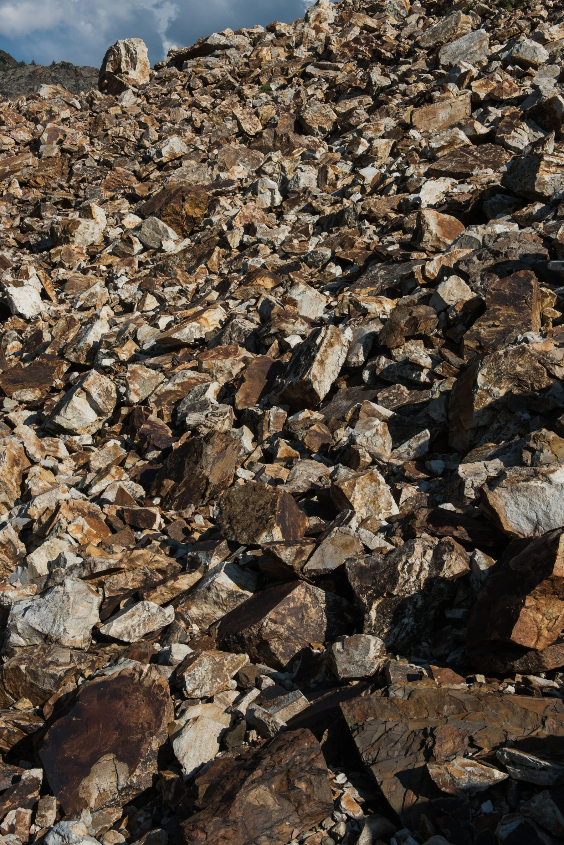 A talus slope. Boulders the size of VW beetle. Twin Peaks WIlderness. Utah.
