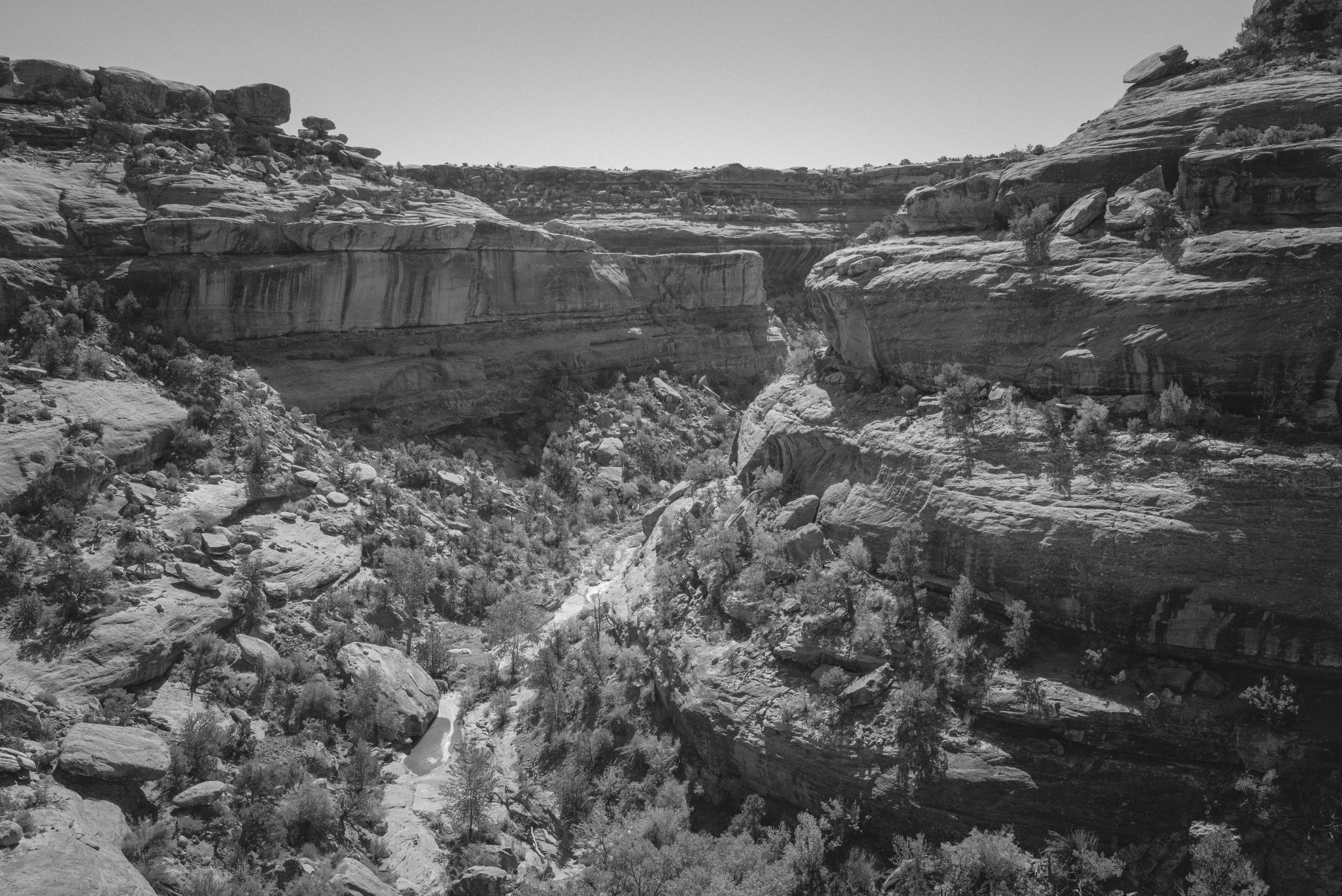 Since the arrival of Euro-Americans, looting and irresponsible land use has damaged many sites within Bears Ears. Recent approvals for uranium mining expansion and fossil fuel extraction in the Greater Bears Ears threatens the safety of these sacred sites and the health status of communities nearby.