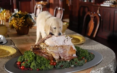 naughty_thanksgiving_puppy_wallpaper_2560x1600_wallpaperhere.jpeg