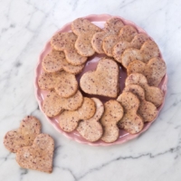 CranberryCheeseDogCookies_PlateFull_sq1k.jpeg