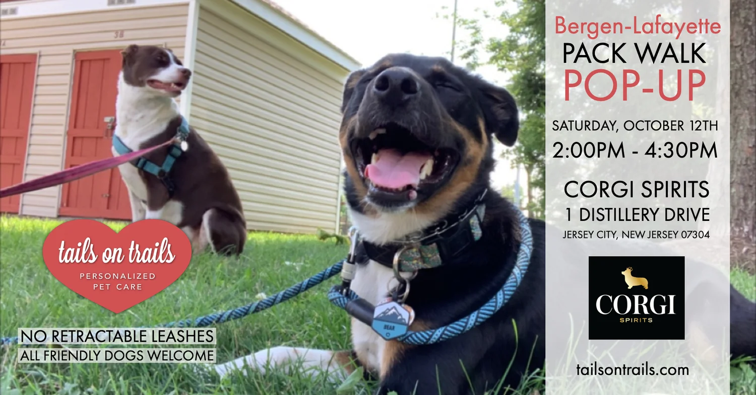 Bergen-Lafayette pack walk postcard