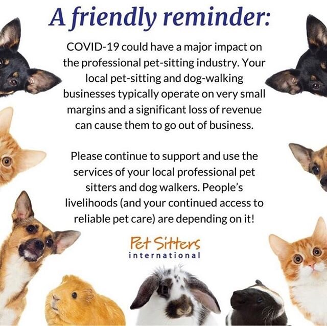 A friendly reminder to continue supporting your local professional dog walkers and pet sitters! 🐶💗🐱 While many can work from home, professional pet sitters cannot work remotely. 
All of these small businesses are what make Jersey City so special a