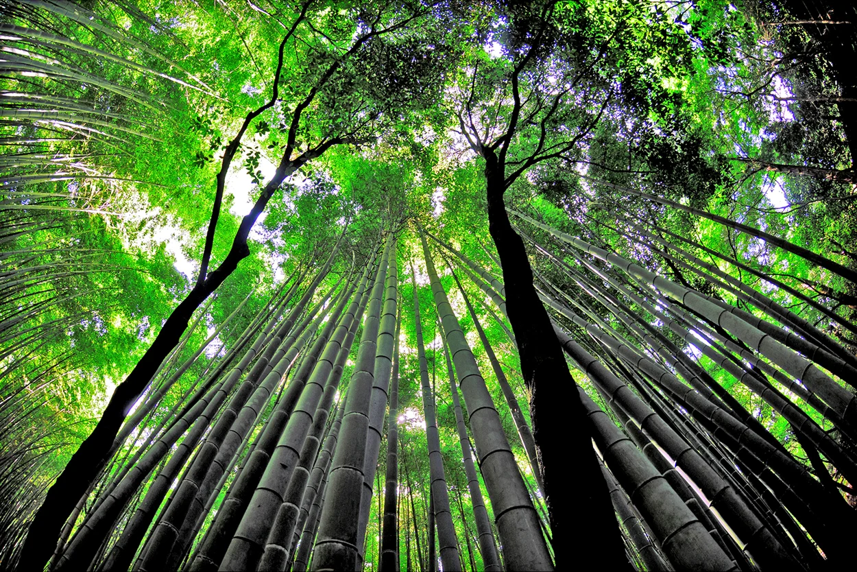 kyoto