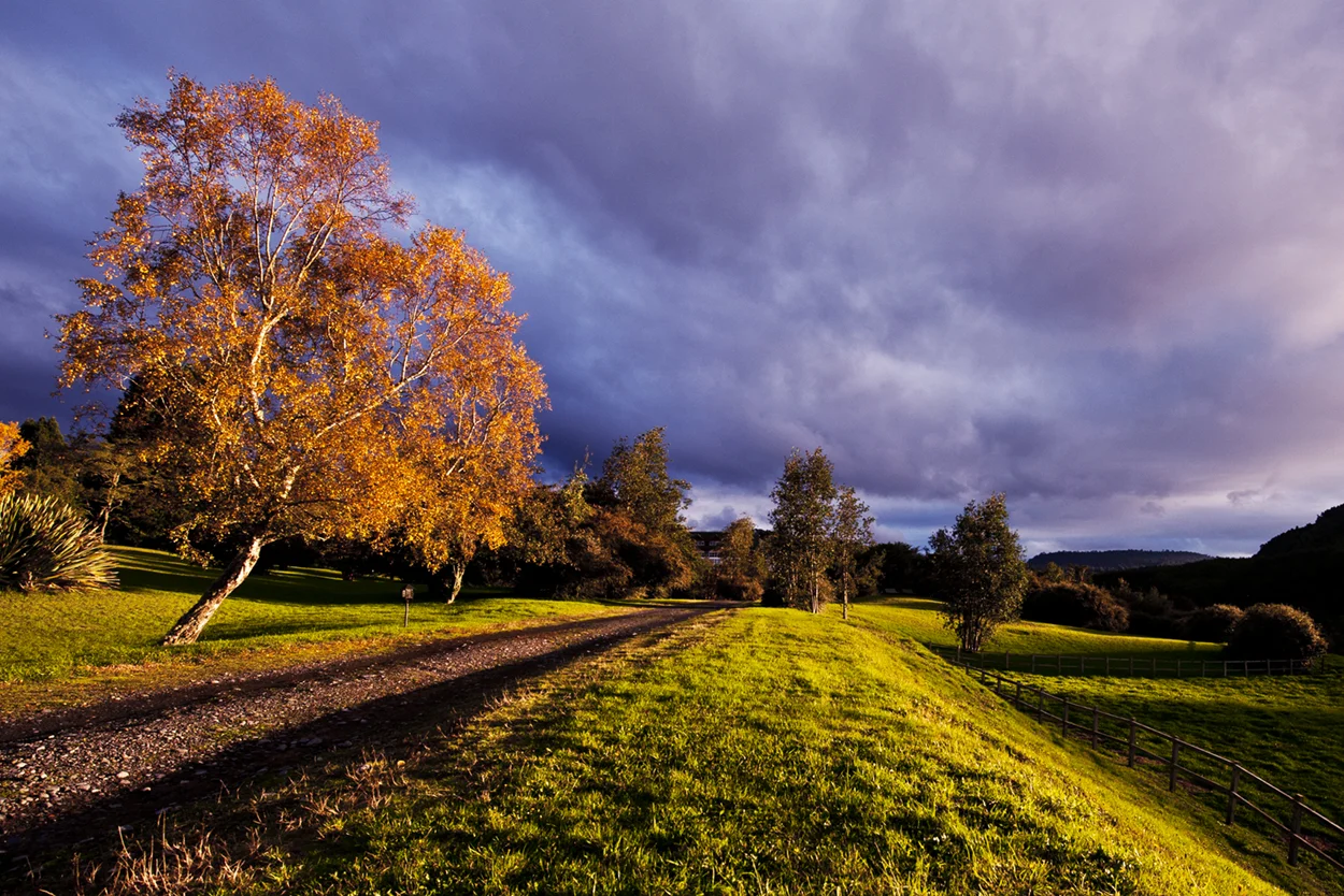 puyehue