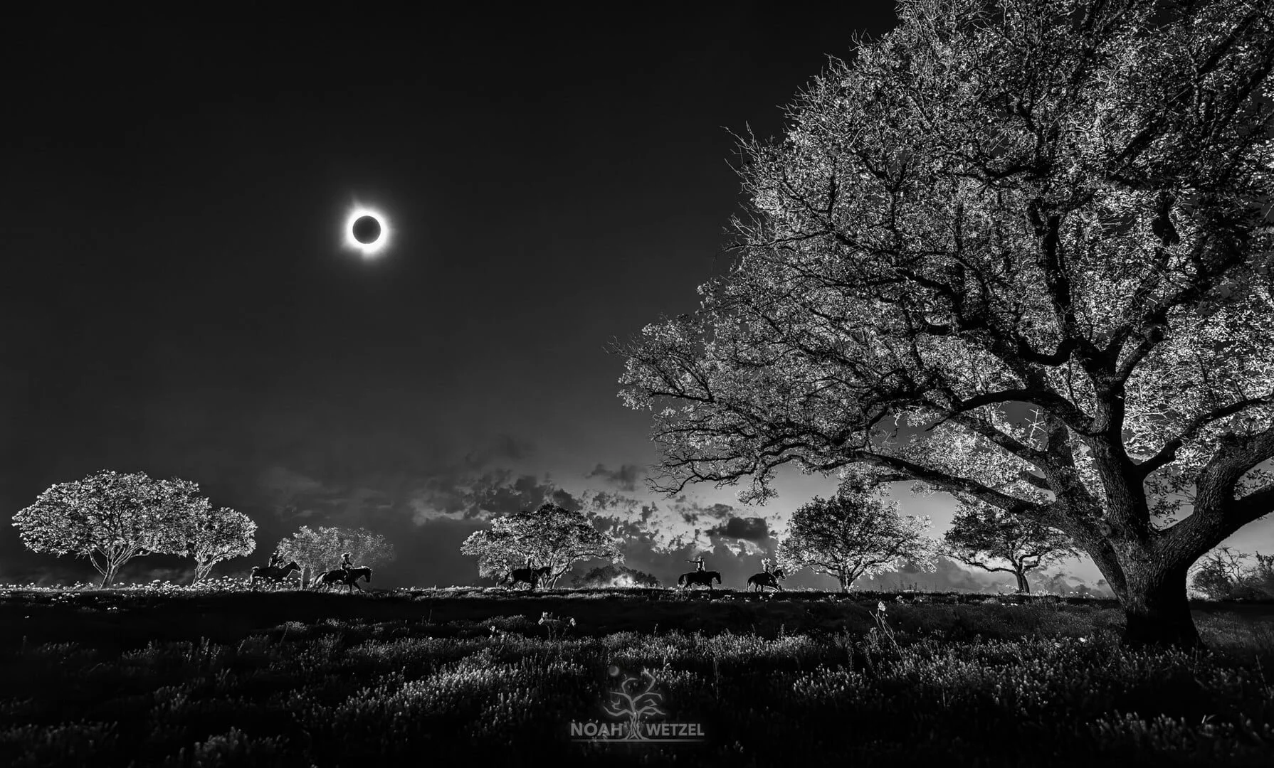 Eclipse Outlaw 2BW.jpg