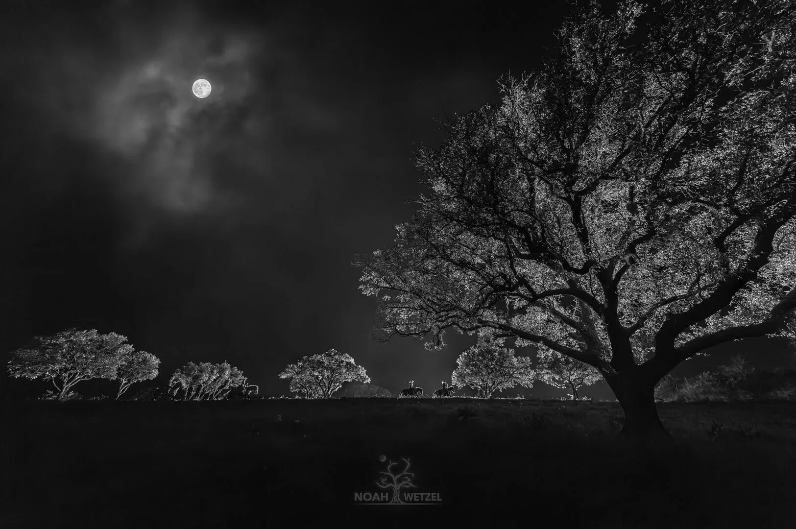 Eclipse Outlaw 4BW.jpg