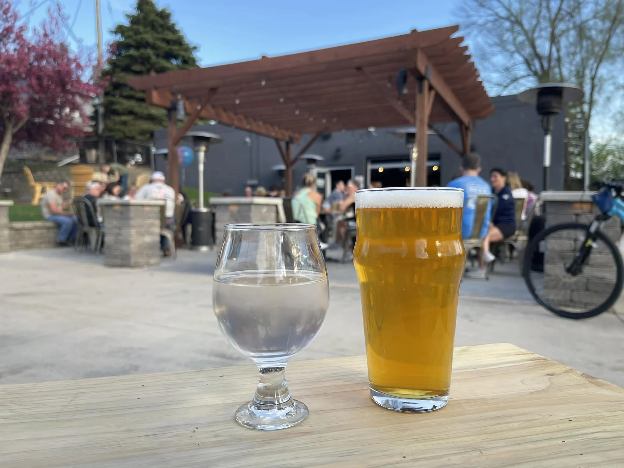 Mineral Springs_Site Photo.jpg