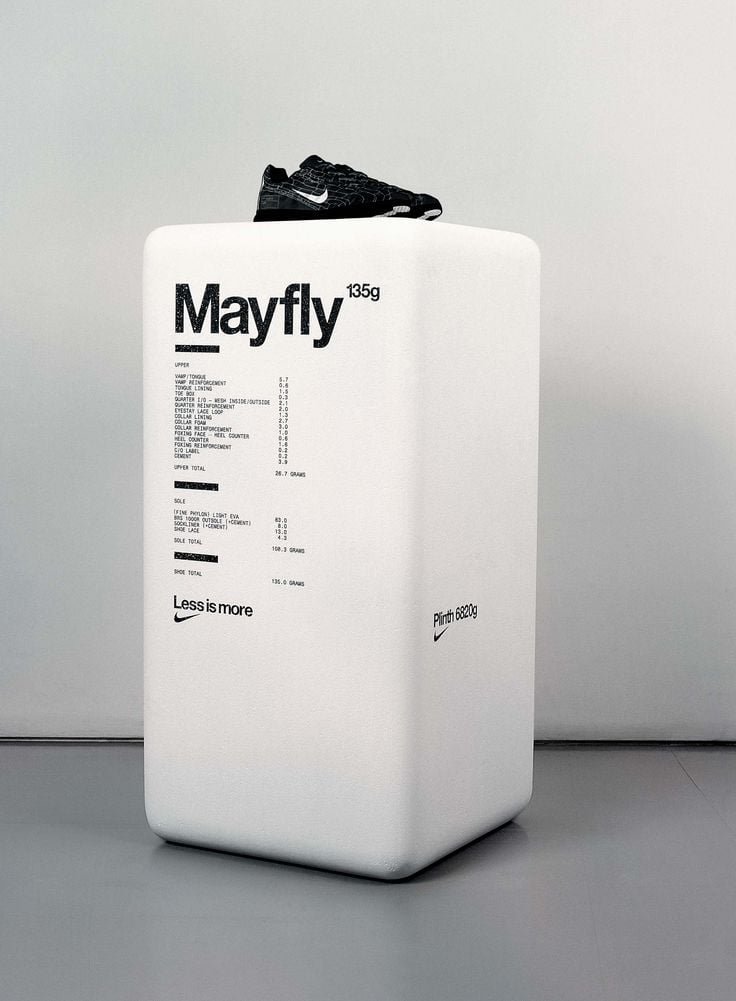 Mayfly.jpg
