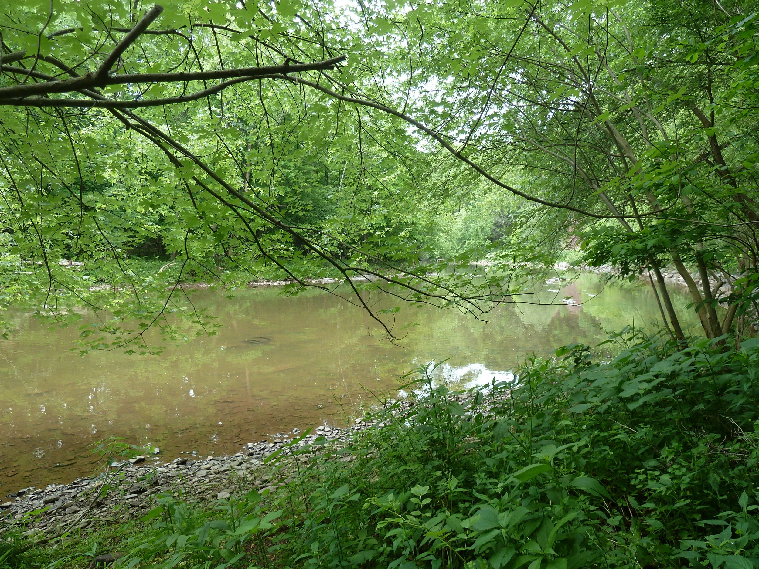 Build your Dream Home — Shermans Bella Terra