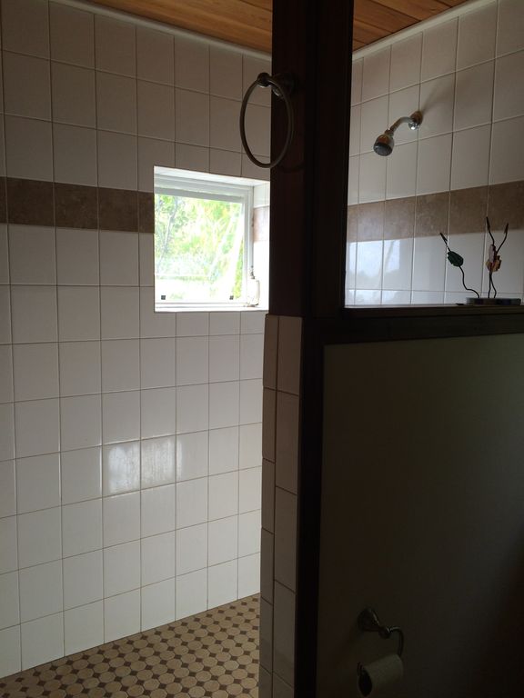 MasterWalkinShower.jpg