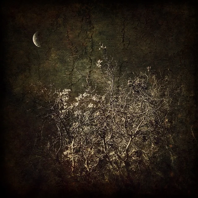 Spark by Michael Marshall Smith