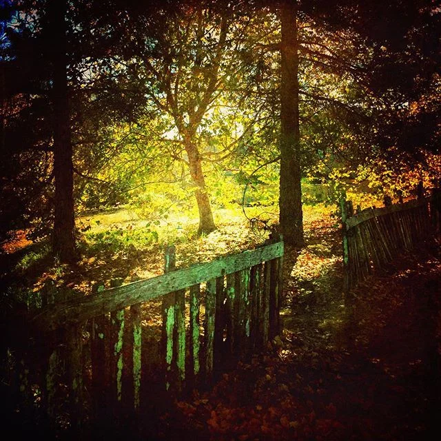 How Could She Have Known