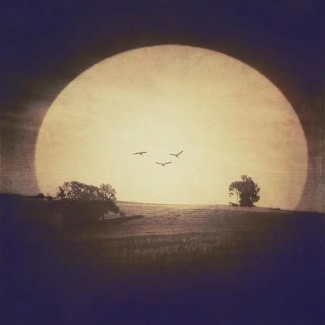 Spark by Eyglo