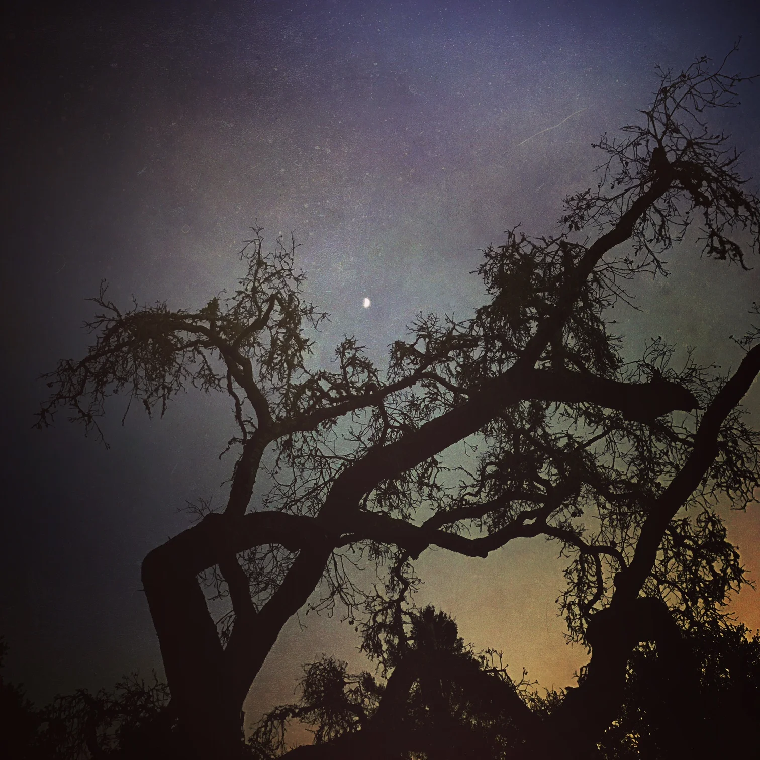 Spark by Michael Marshall Smith