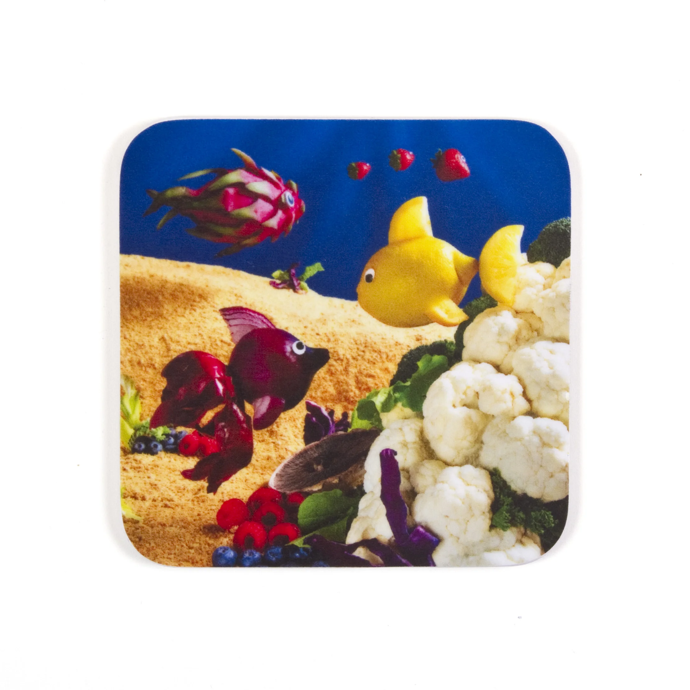Fish Coaster.jpg
